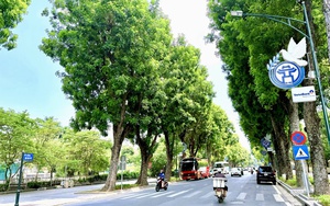 Xây dựng Hà Nội thành đô thị xanh: Giải pháp chiến lược cho hệ thống cây xanh, công viên, vườn hoa