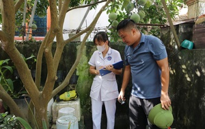 Ghi nhận gần 400 ca mắc sốt xuất huyết trong 1 tuần- Ảnh 2. Hà Nội đã ghi nhận hơn 2,2 nghìn ca mắc sốt xuất huyết