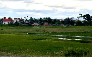 Hà Nội tháo gỡ vướng mắc thủ tục đất đai trong bối cảnh mô hình chính quyền địa phương 2 cấp