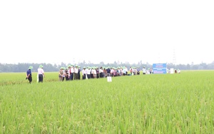 Nông nghiệp Hà Nội 2025: Tăng trưởng từ chiều sâu, bứt phá bằng chất lượng