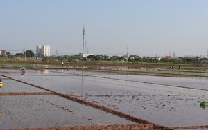 Chủ động chuẩn bị lấy nước đợt 2 gieo cấy lúa vụ xuân 2026