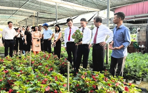 Hà Nội giới thiệu loạt sản phẩm du lịch mới gắn di sản, làng nghề với OCOP