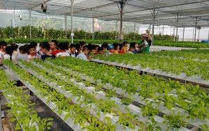Đẩy mạnh tuyên truyền, giám sát nông sản an toàn giai đoạn 2026 – 2030