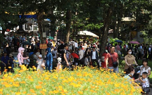 Hà Nội thúc đẩy phát triển sản phẩm du lịch mới trong những tháng cuối năm