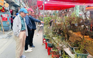 Chợ hoa Xuân Phố cổ 2026: Thu hút hơn 30 nghìn lượt khách tham quan, mua sắm