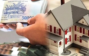 Hộ, cá nhân cho thuê bất động sản phải nộp những loại thuế nào?