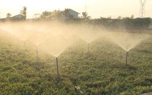 Luật Thủ đô (sửa đổi): Phát triển nông nghiệp công nghệ cao gắn bảo vệ môi trường