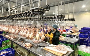 Siết chặt quản lý giết mổ nhỏ lẻ để bảo đảm an toàn thực phẩm