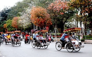 Nghiên cứu đưa xích lô điện vào phục vụ du lịch Hà Nội