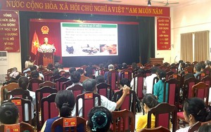 Hà Nội tăng cường công tác phòng chống bệnh dại