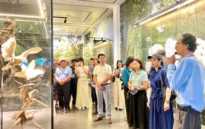 Đưa Bảo tàng Hà Nội trở thành điểm đến tiêu biểu của du lịch Thủ đô