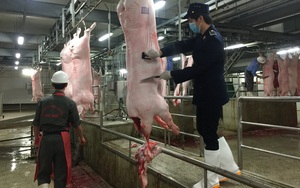Siết chặt quản lý giết mổ, hướng tới giảm mạnh các điểm nhỏ lẻ