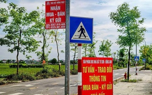Hà Nội sẽ kiểm tra hoạt động môi giới tại khu tái định cư cầu vượt sông Hồng