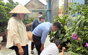 Phòng dịch sốt xuất huyết Dengue từ chủ động vệ sinh môi trường