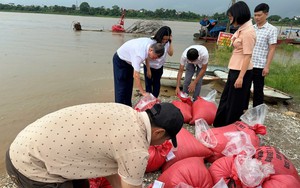 Thả cá giống tái tạo nguồn lợi thuỷ sản