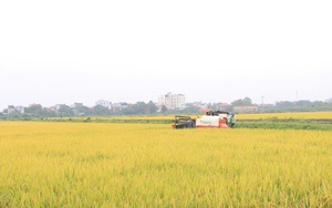 Hà Nội đẩy nhanh tiến độ, phấn đấu ban hành Bộ tiêu chí xã nông thôn mới