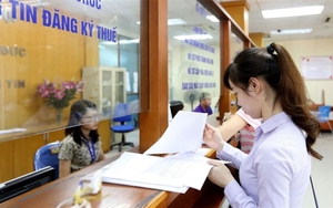 Doanh nghiệp cần rà soát, chuẩn hóa thông tin đăng ký thuế