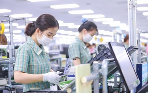 Hà Nội đồng hành, hỗ trợ doanh nghiệp thích ứng chính sách thuế