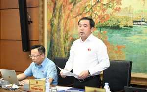 Rà soát thủ tục đầu tư để bảo đảm thống nhất giữa Luật Dầu khí và Luật Đầu tư
