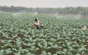 Nâng cao kỹ năng cho 15.383 lượt nông dân sản xuất, kinh doanh giỏi