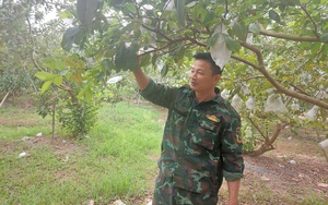 Đồng hành cùng nông dân sản xuất gắn với bảo vệ môi trường