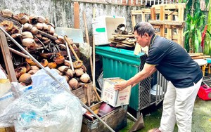 Số ca mắc sốt xuất huyết xu hướng gia tăng theo chu kỳ hằng năm
