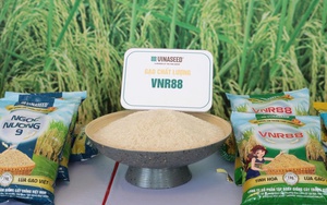 Ứng dụng chuyển đổi số quản lý an toàn thực phẩm: Từ chuyển rủi ro sang bảo vệ chủ động