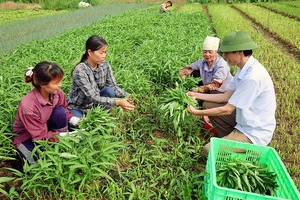 Tái chế phế phẩm để hướng đến sản xuất nông nghiệp xanh