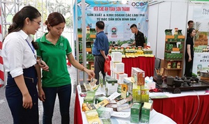 Hà Nội tổ chức 5 chương trình kết nối sản xuất tiêu dùng bền vững 