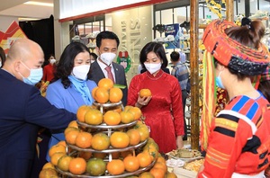 Khai mạc 'Hội chợ Đặc sản Vùng miền Việt Nam 2021'