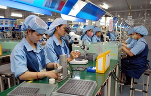 Kinh tế tư nhân góp phần vào tăng trưởng kinh tế Hà Nội
