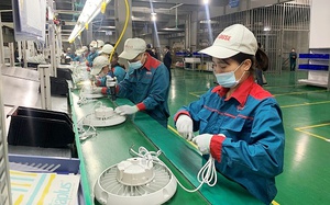 Hà Nội: Nỗ lực phát triển mạnh mẽ khu vực kinh tế tư nhân