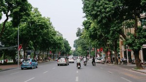 Đặt tên phố mang tên nhà tư sản Trịnh Văn Bô tại quận Nam Từ Liêm