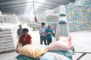 Hà Nội gửi tặng thành phố Hồ Chí Minh 5.000 tấn gạo, Bình Dương 1.000 tấn gạo