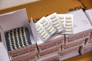 4 bước triển khai chương trình dùng thuốc kháng virus Molnupiravir cho người mắc COVID-19