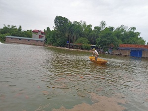 Thu nhập tăng cao từ mô hình khuyến nông chăn nuôi - thủy sản