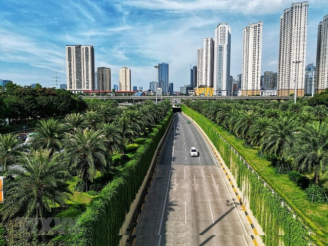 Capital plants 250,000 trees along urban road  - Ảnh 1.