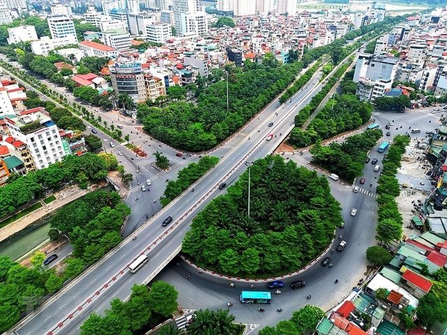 Capital plants 250,000 trees along urban road  - Ảnh 2.