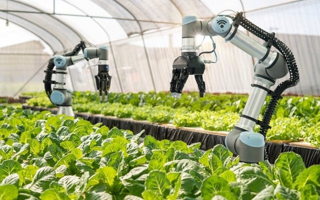 Digital technology – An inevitable trend in Ha Noi’s agricultural production- Ảnh 2. Digital technology – An inevitable trend in Ha Noi’s agricultural production- Ảnh 2.