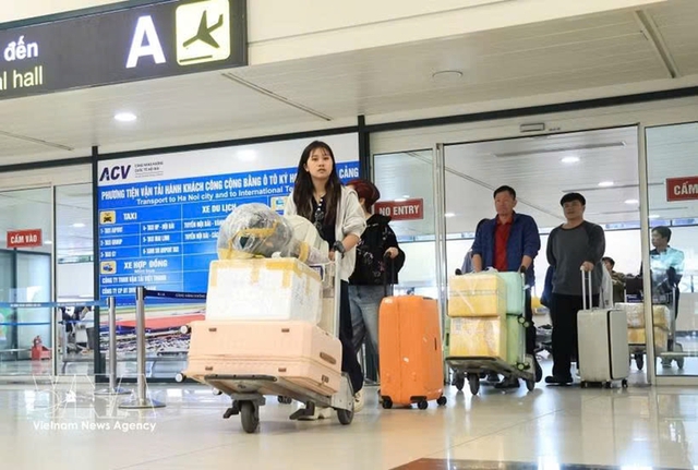 Ha Noi activates Hanta virus surveillance after international warnings- Ảnh 1.