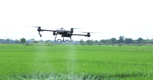 Revised Capital Law promotes high-tech agriculture linked to environmental protection- Ảnh 1.