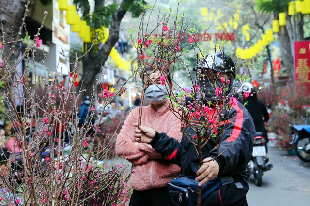 Hà Nội sẽ tổ chức 78 điểm chợ hoa Xuân dịp Tết 2022 - Ảnh 1.