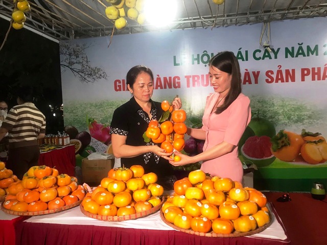 Khai mạc Lễ hội trái cây thành phố Hà Nội năm 2022 - Ảnh 2.