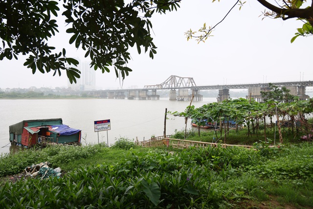 Nhịp sống đối lập ở bãi sông Hồng ngay sát trung tâm Hà Nội - Ảnh 8.