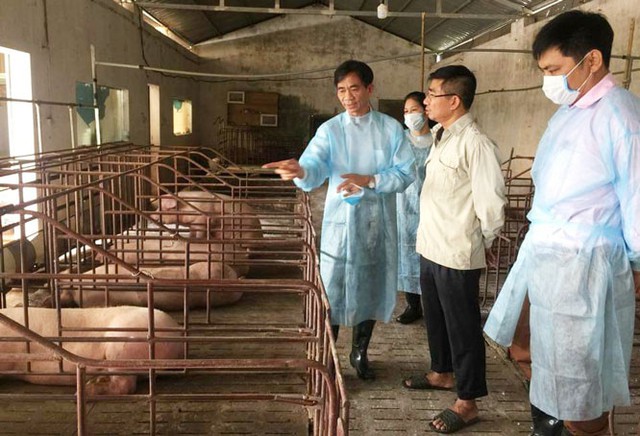 Ngành chăn nuôi Hà Nội: Đón bắt cơ hội từ công nghệ - Ảnh 1.