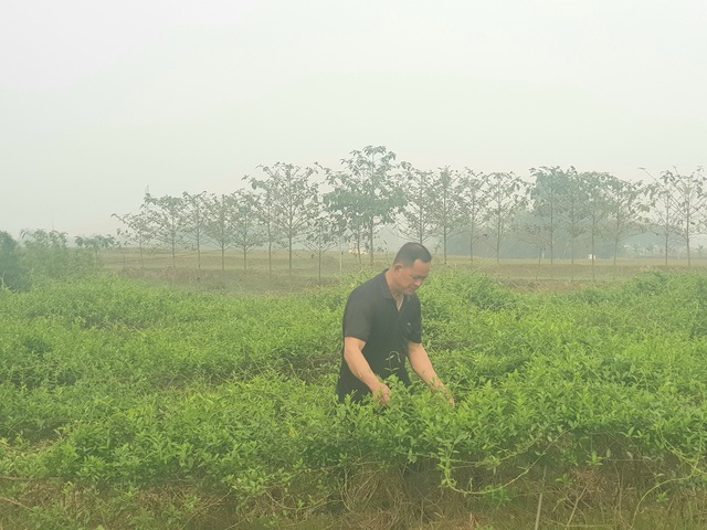 Phát triển vùng chuyên canh nông nghiệp theo hướng nâng cao giá trị - Ảnh 1.