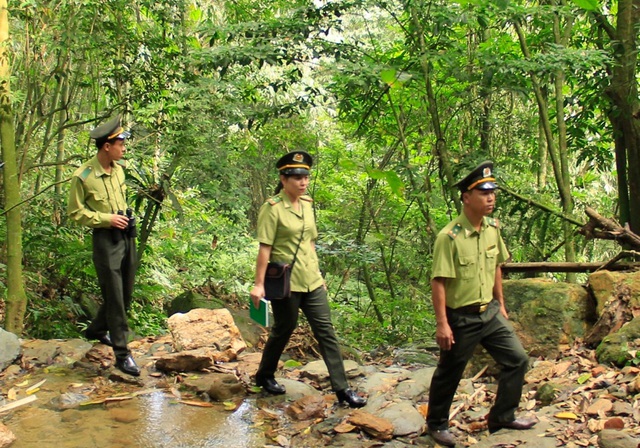 Phối hợp chặt chẽ với các tỉnh giáp ranh để bảo vệ rừng hiệu quả  - Ảnh 1.