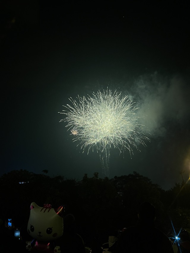 Ngắm pháo hoa rực sáng trên bầu trời Thủ đô Hà Nội - Ảnh 10.