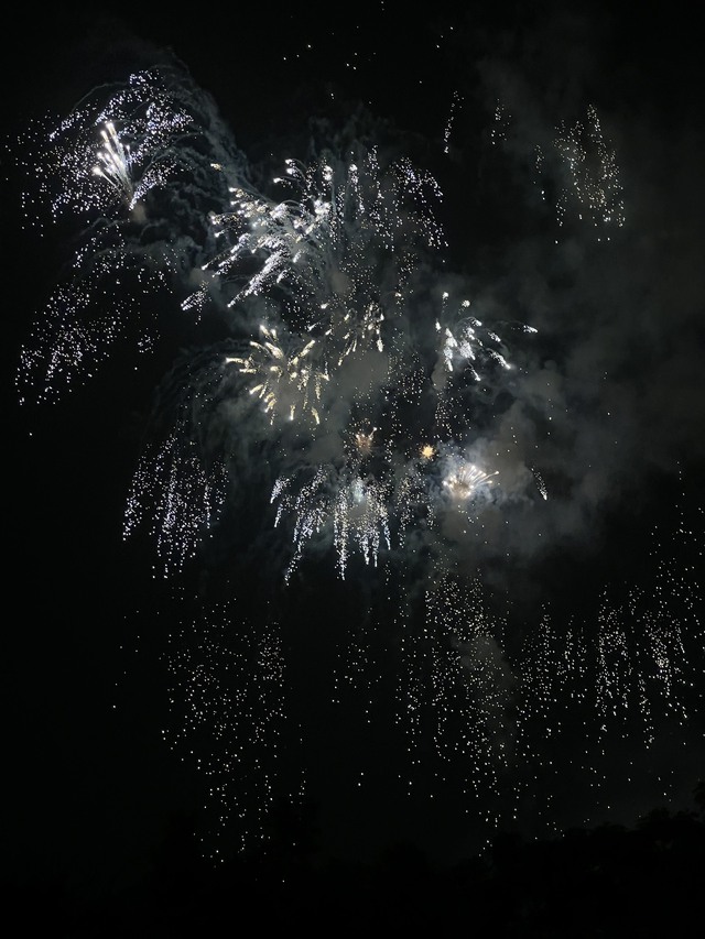 Ngắm pháo hoa rực sáng trên bầu trời Thủ đô Hà Nội - Ảnh 8.