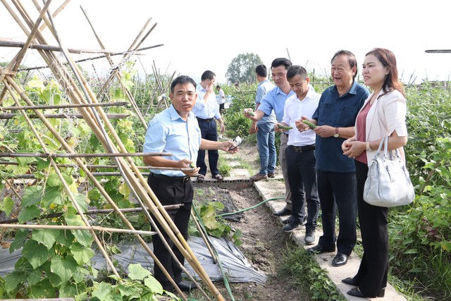 Nông nghiệp Thủ đô chú trọng 'Sản xuất xanh-Tiêu dùng xanh'- Ảnh 2.